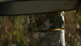 Fire Country - Season 04 Episode 09